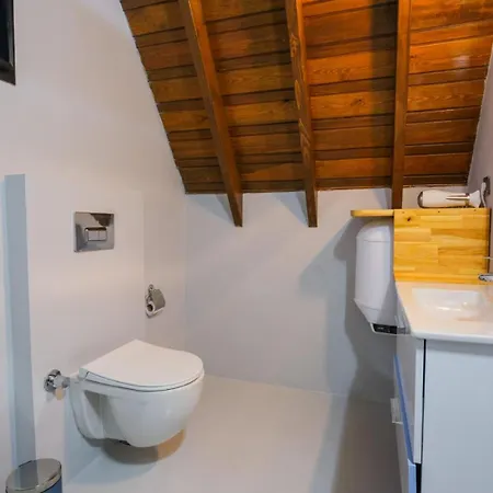 Woody Hotel 4*
